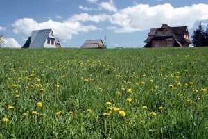 gadzie pojechać na weekend