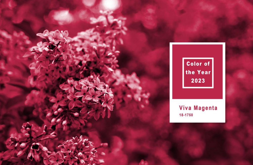 Kolor roku 2023 – Viva Magenta