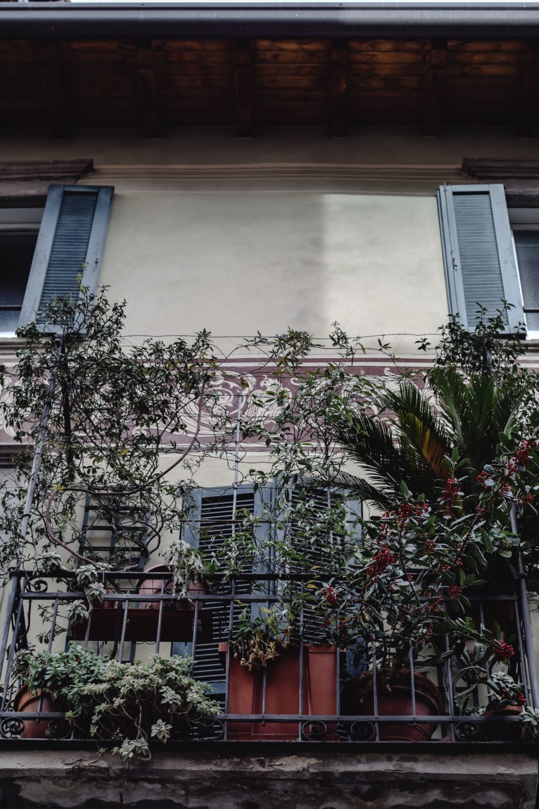 Balkon z bujnymi roślinami w donicach na tle fasady kamienicy
